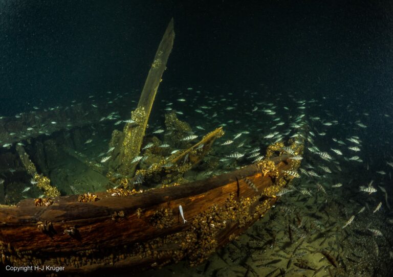 Diving paradise Oranienburg