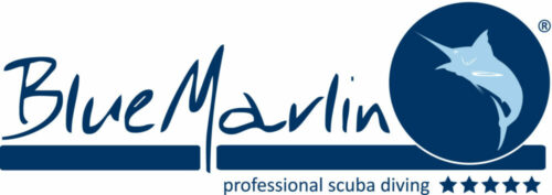 BlueMarlin Logo e1673008415542