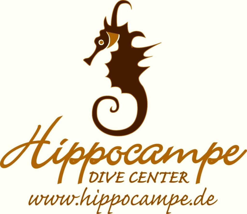 Hippo logo nouveau t shirt